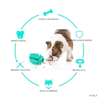 Juguete Dental Pet