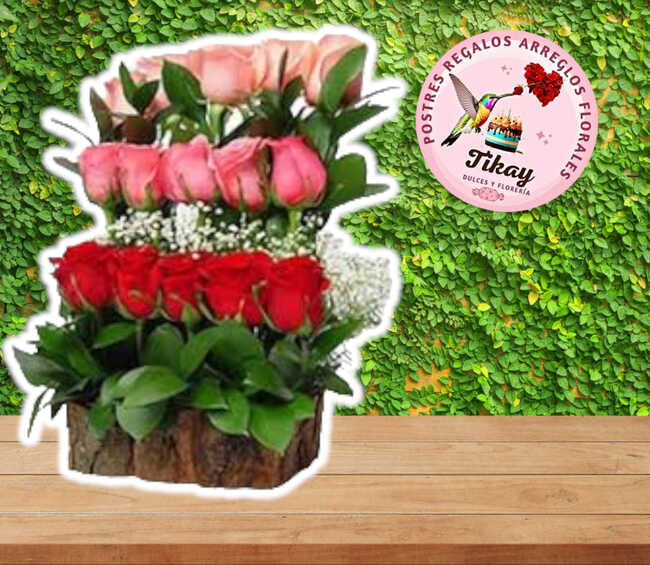 Rosas Escalada Tikay
