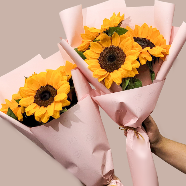 Trio de girasoles