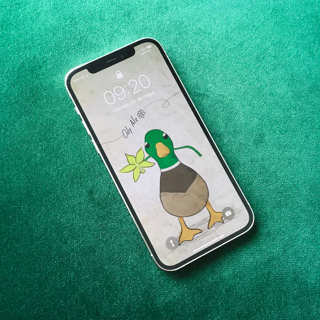 Wallpaper personalizado 'Un Pato y una Flor' - 2do aniversario